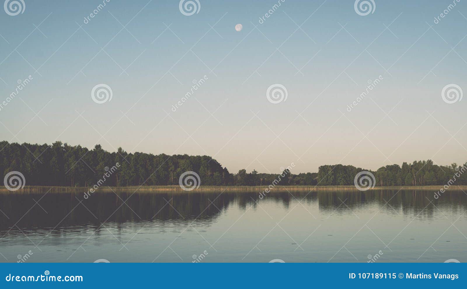 symmetric reflections on calm lake - retro vintage look