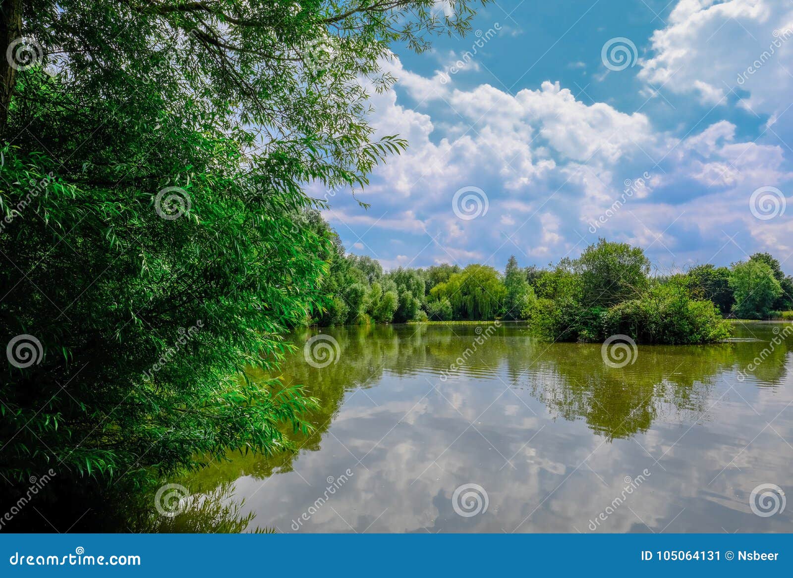 beautiful, tranquil scene of a lake and closed forest in the united kingdom.