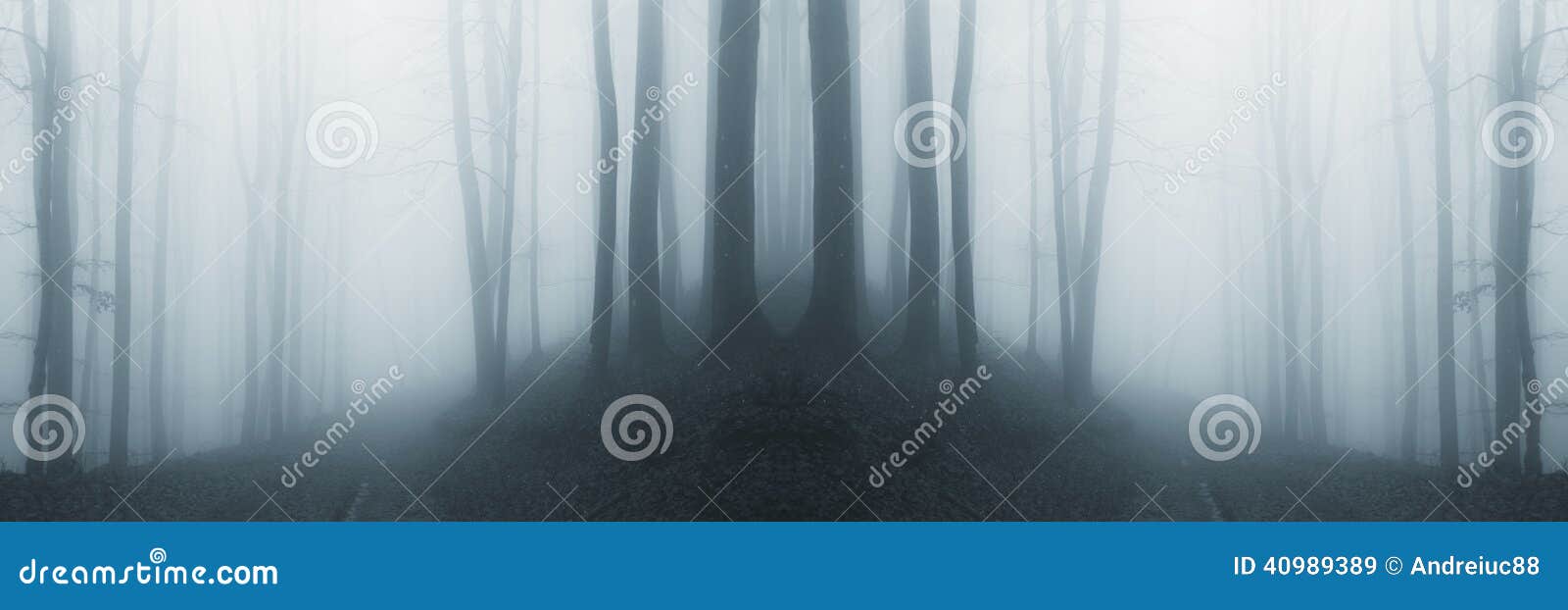 symmetrical surreal forest with fog