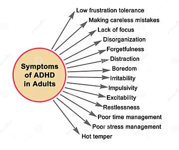 Symptoms of adhd in adults stock illustration illustration of diagram