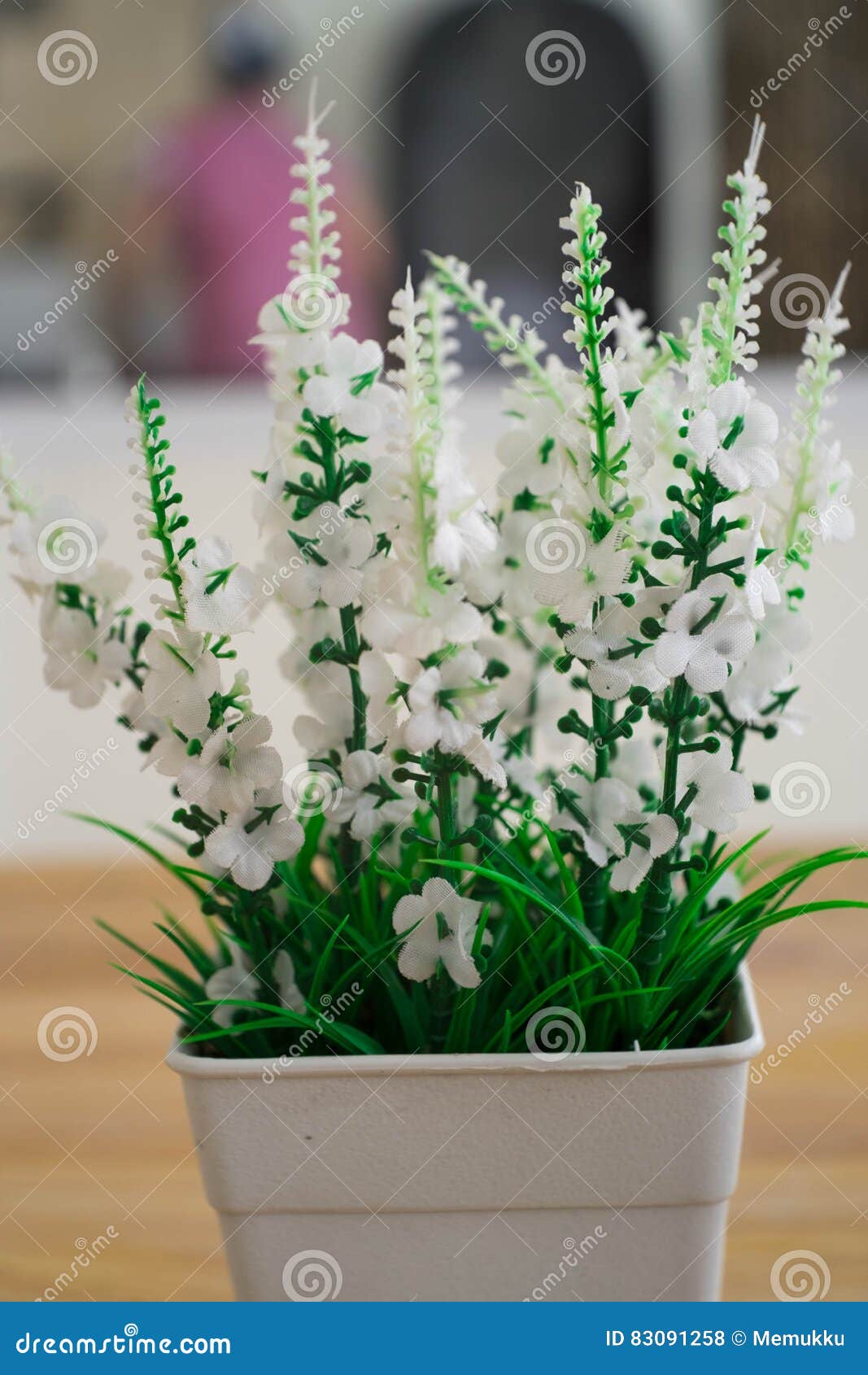 Synthetic White Flowers in Plastic Pot Stock Photo Image of green
