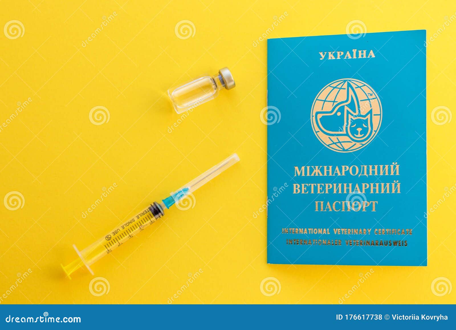 Syringe, Glass Vial with Liquid and Ukrainian Animal Passport for  Indicating Vaccinations and Microchip Number. International Vet Stock Photo  - Image of clinic, animal: 176617738