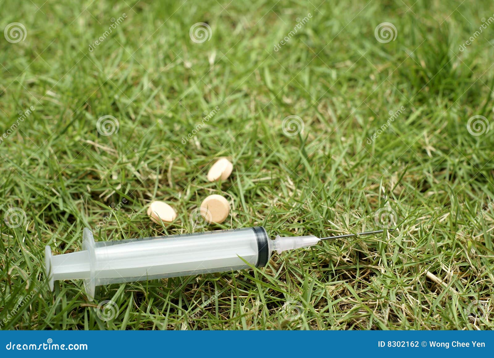 Syringe and pills in grass stock photo. Image of away 8302162