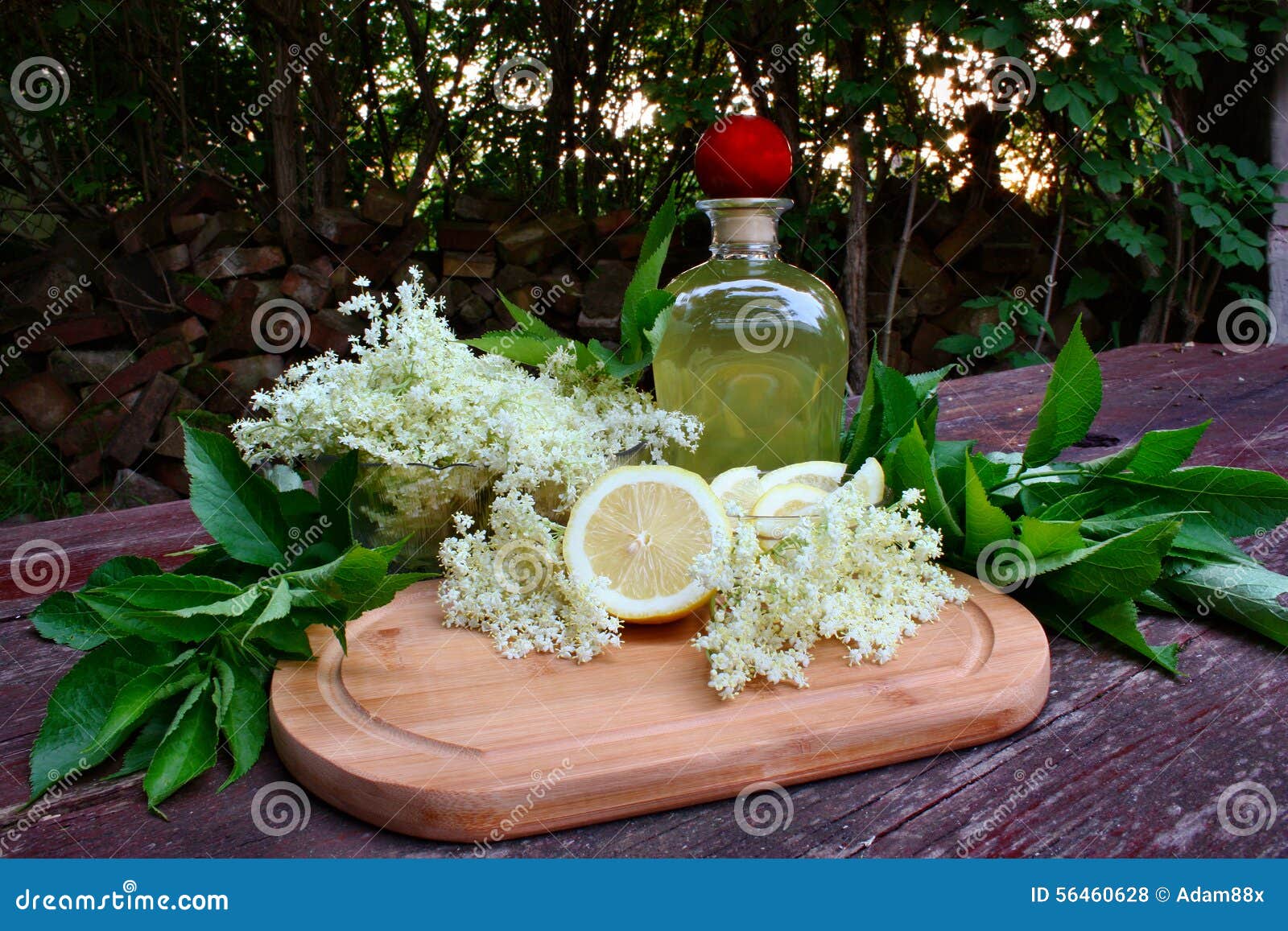 Syrup of Flowers Elderberry Stock Photo Image of elderberry, leaf