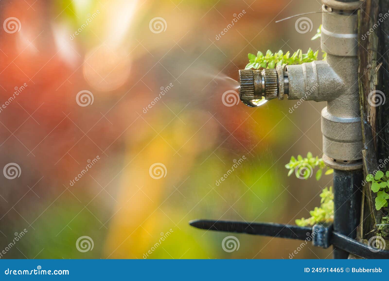 Système De Pulvérisation D'eau De Buse De Brouillard Pour Faire L