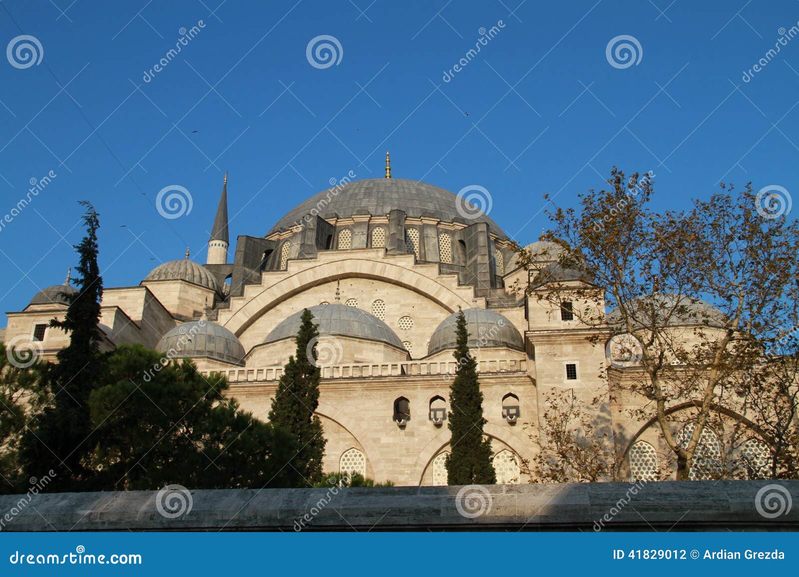 sÃÂ¼leymaniye mosque with trees in istanbul, turkey