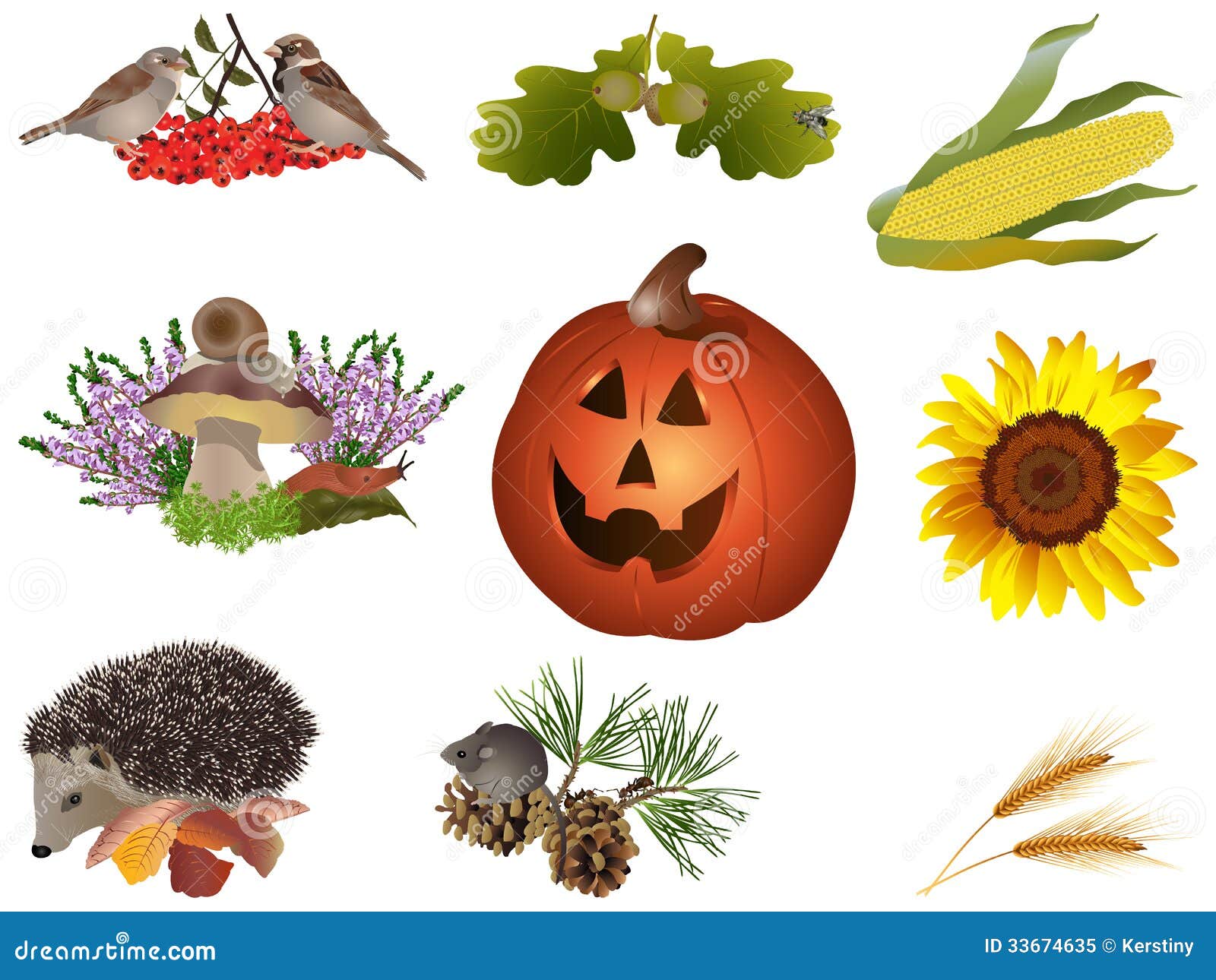 Símbolos del otoño stock de ilustración. Ilustración de ingredientes