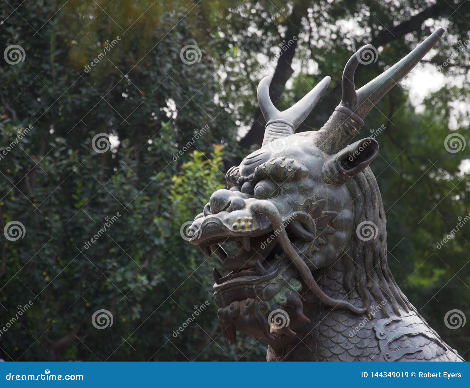 Tête D'une Grande Statue De Dragon Chinois Image stock - Image du bête,  arbres: 144349019