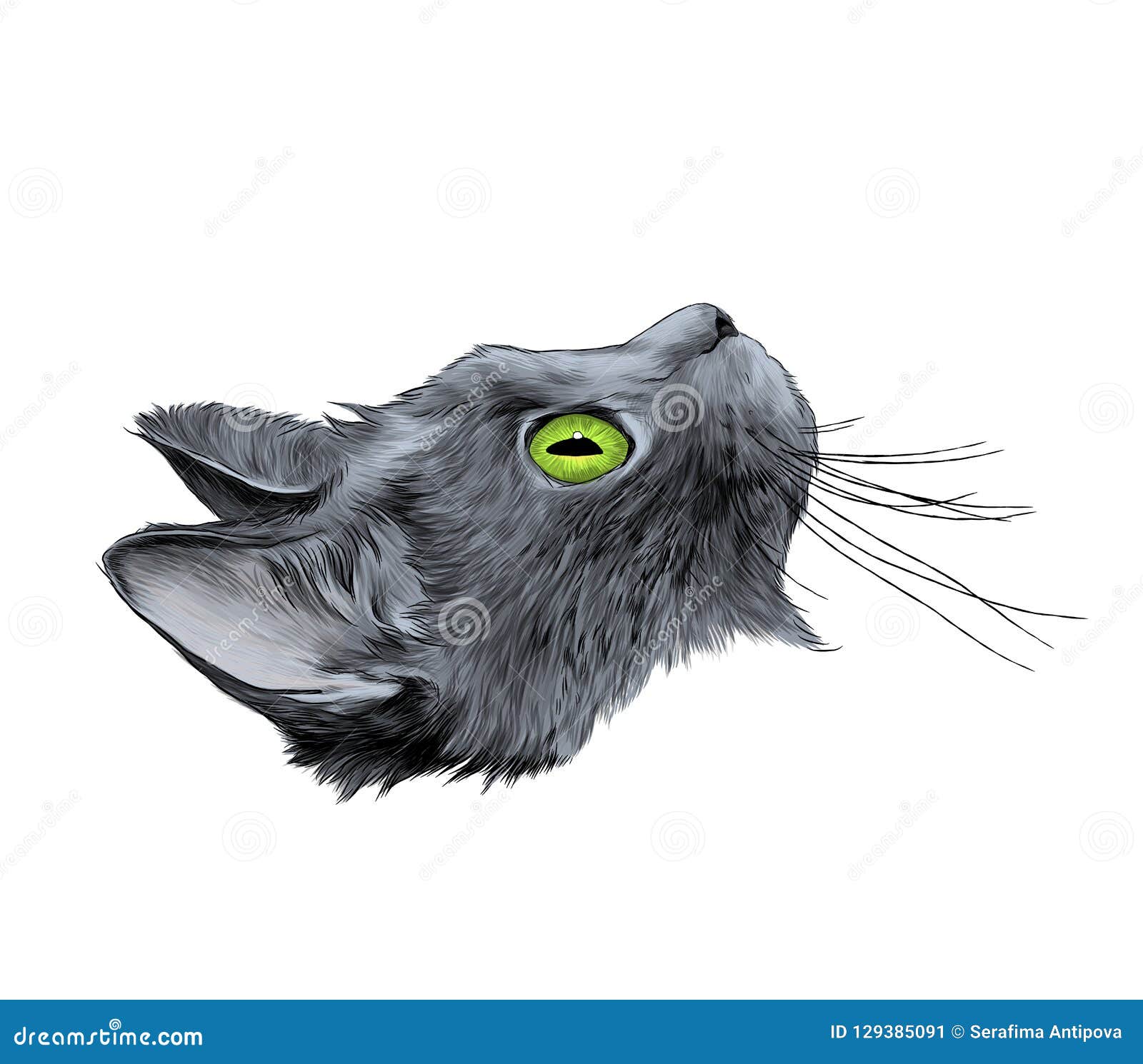 Tete De Chat Dans Le Profil Illustration De Vecteur Illustration Du Rappe Couleur