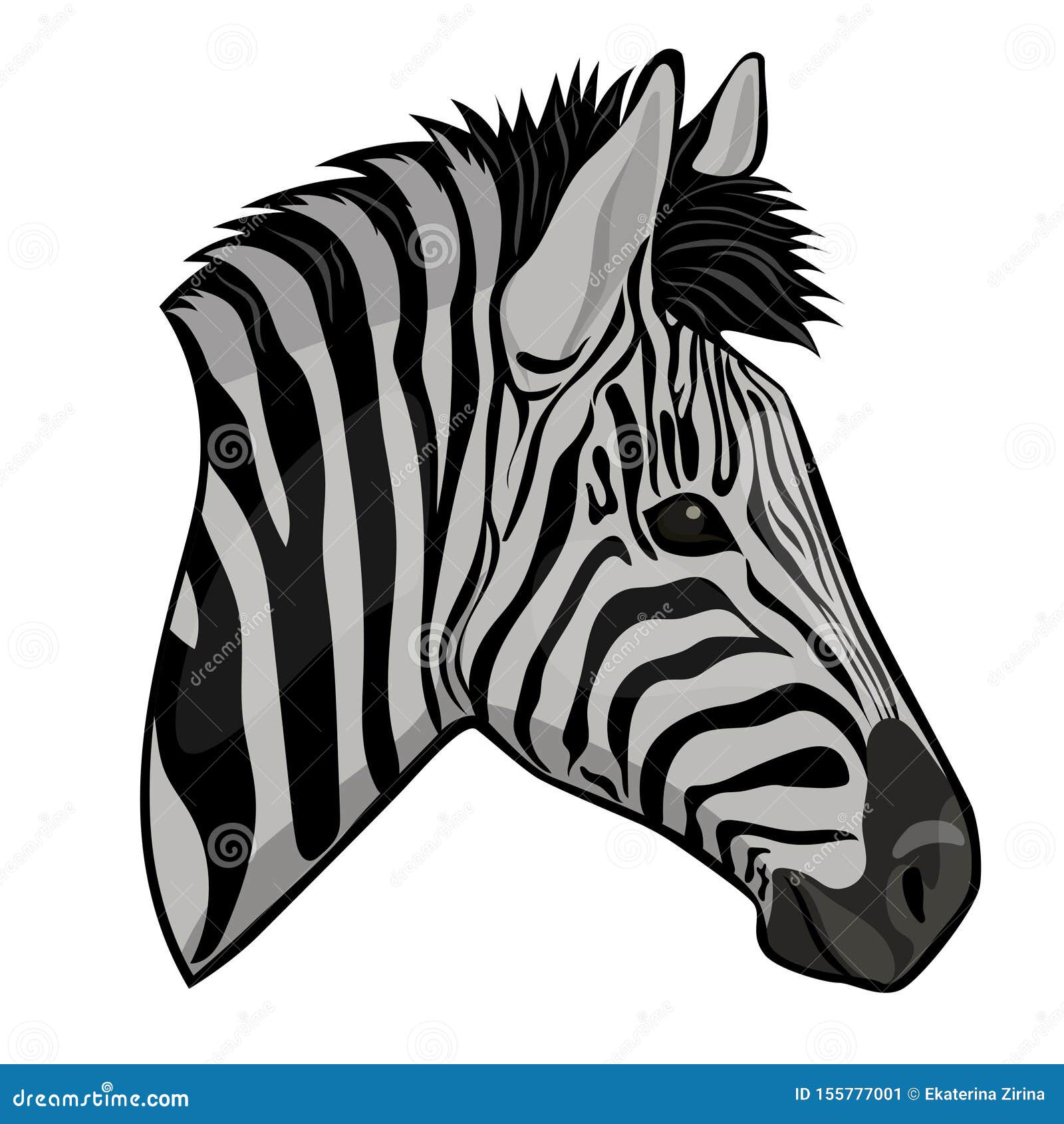 Tete De Zebre D Isolement Sur Un Fond Blanc Dessins De Vecteur Illustration Stock Illustration Du Tete Fond Tete De Zebre D Isolement Sur Un Fond Blanc Dessins De Vecteur Illustration Stock Illustration Du Tete Fond