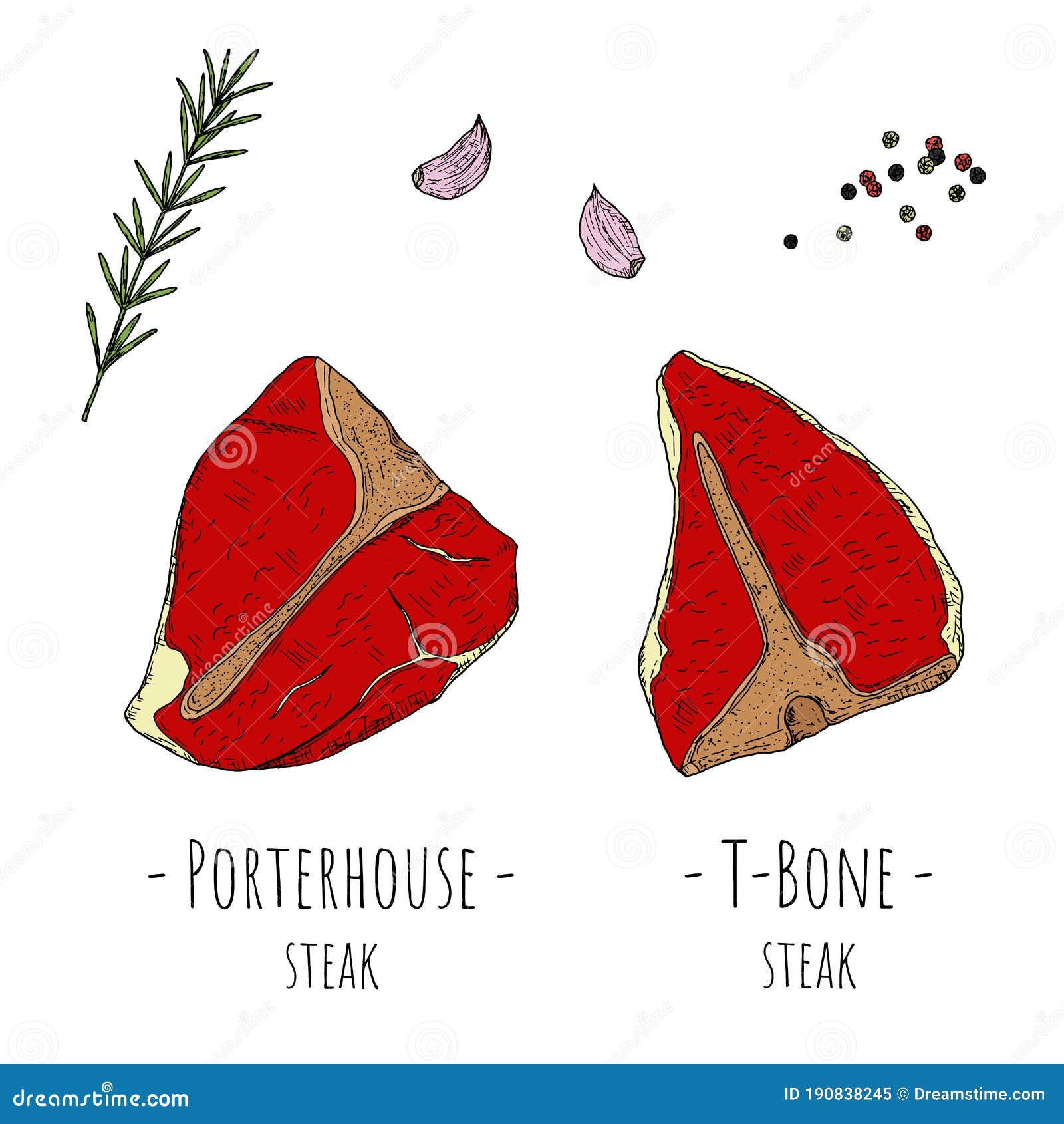 Tbone Steak and Porterhouse Steak. Vector Cartoon Illustrations Stock Illustration