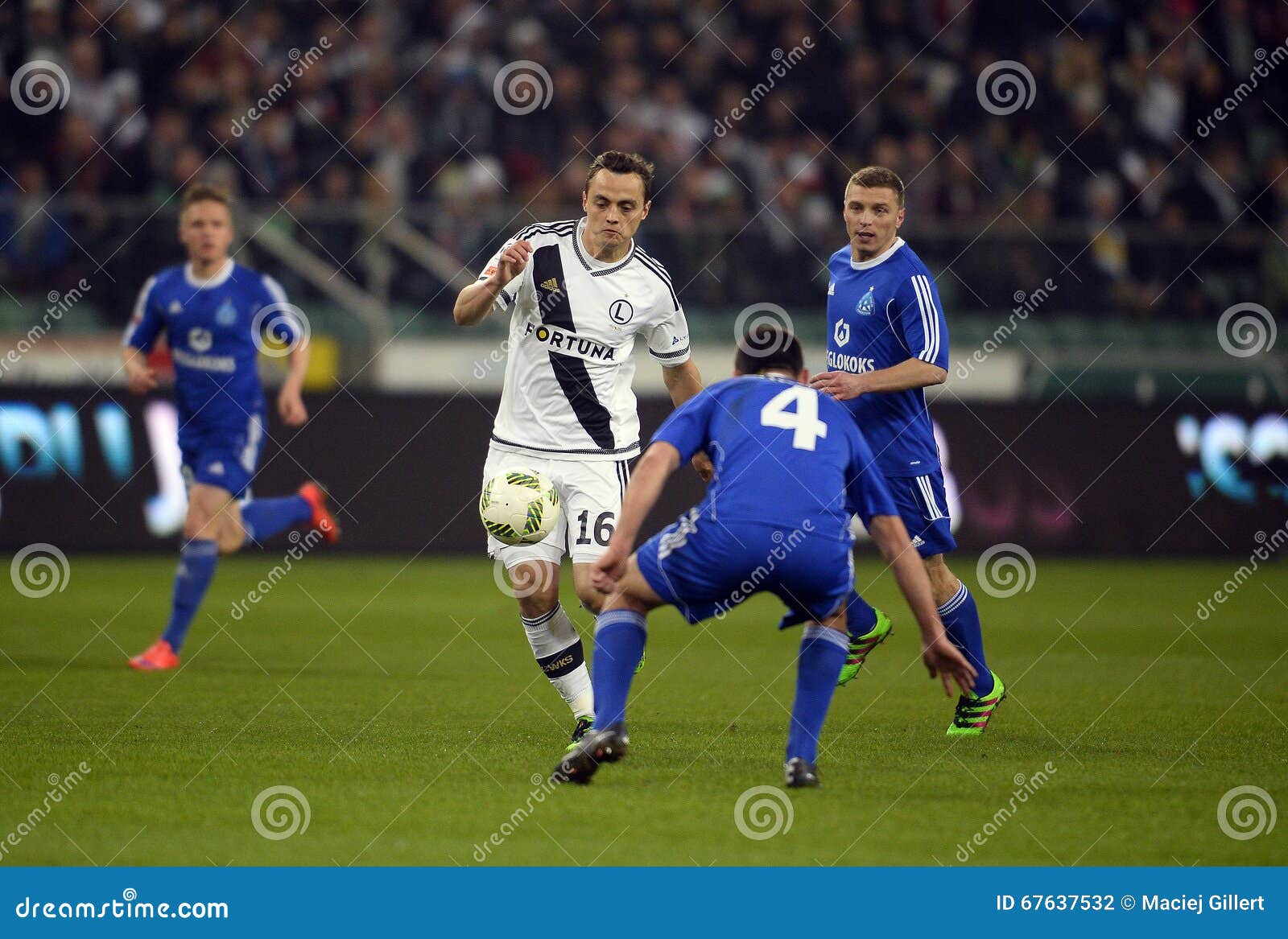 Maslowski Lukasz Stock Photos Free & RoyaltyFree Stock Photos from