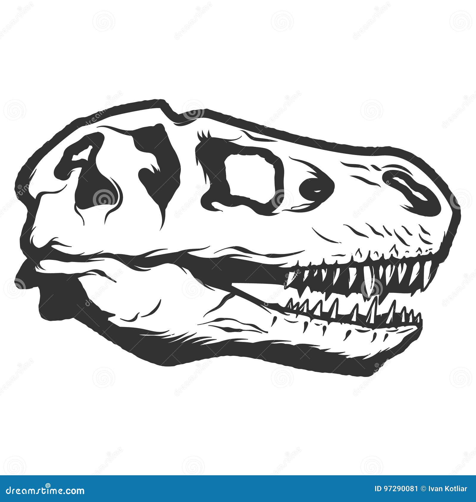 T-rex Dinosaur Skull Isolated on White Background. Images for Lo Stock  Vector - Illustration of beast, eastend: 97290081