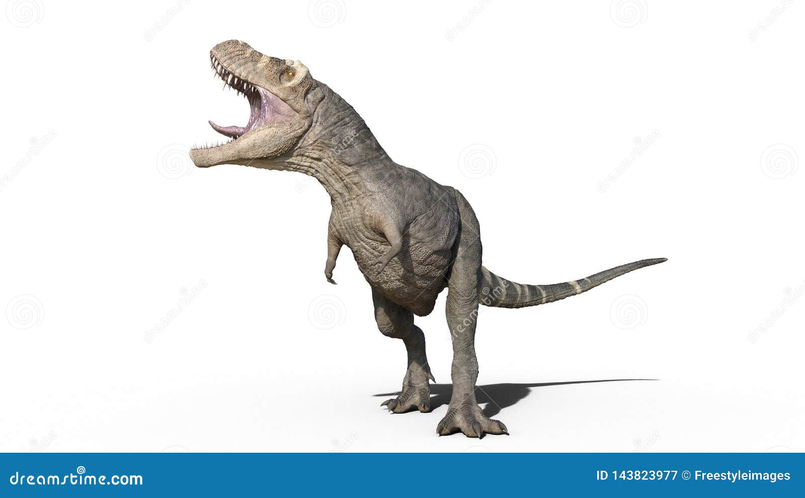 T-Rex Dinosaur, Tyrannosaurus Rex reptile running, prehistoric Jurassic  animal in deserted nature environment, 3D illustration Stock Illustration