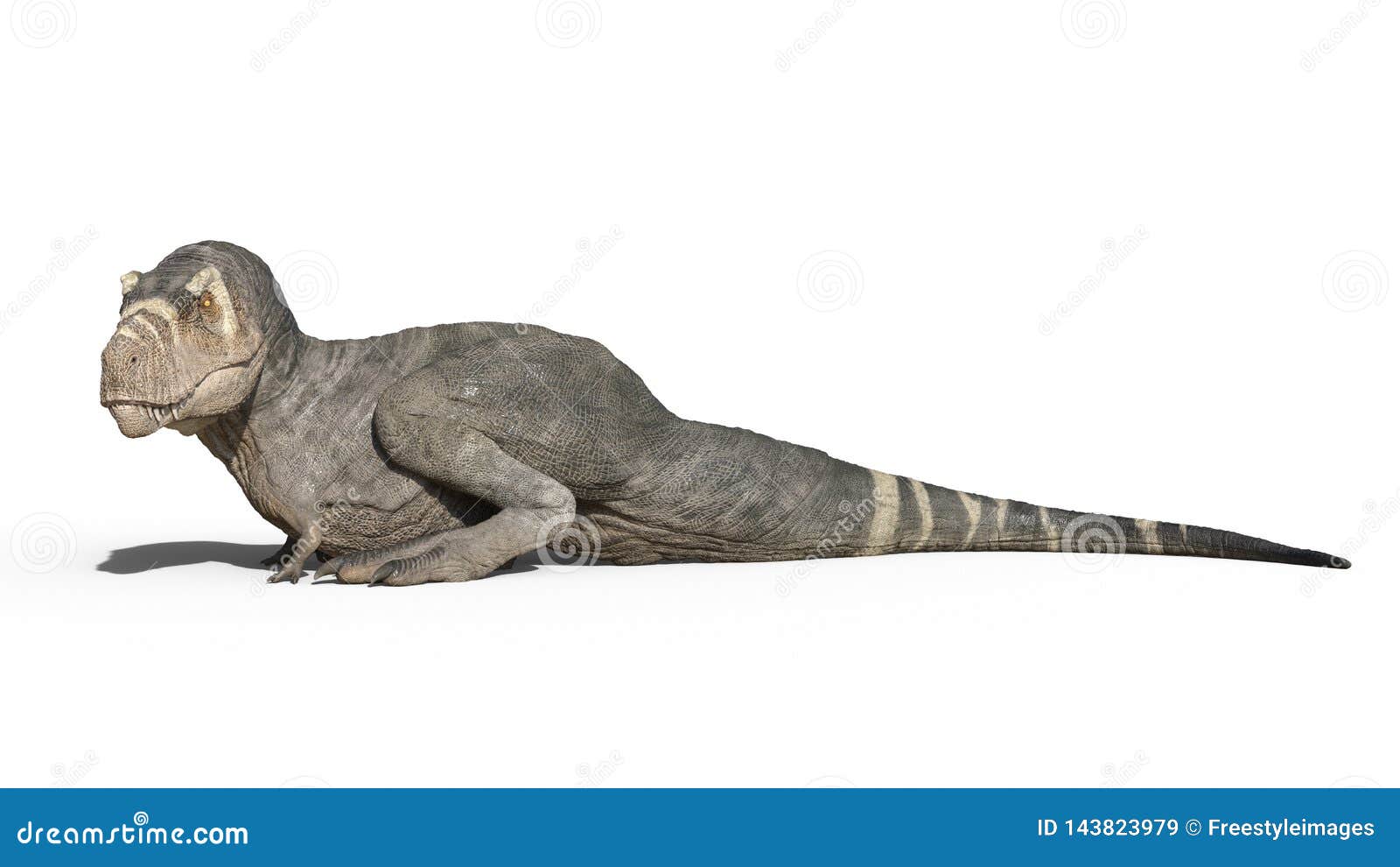 dinosaur with single crest on head