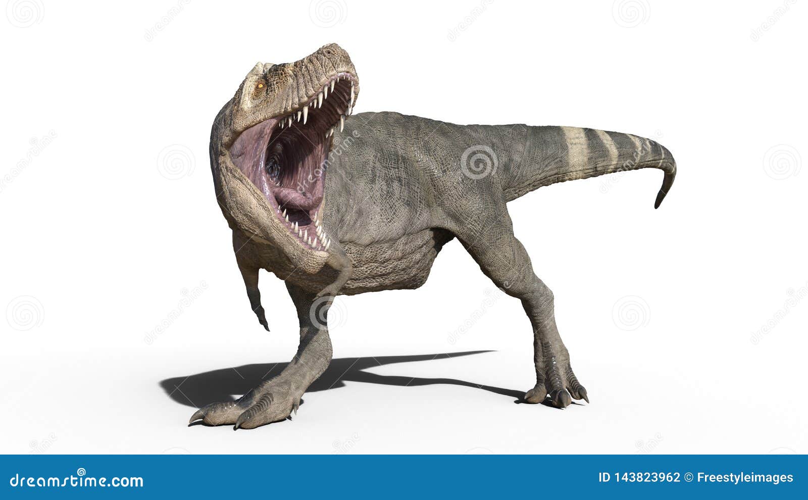 T-Rex dinosaur running. 3D illustration. - Stock Illustration