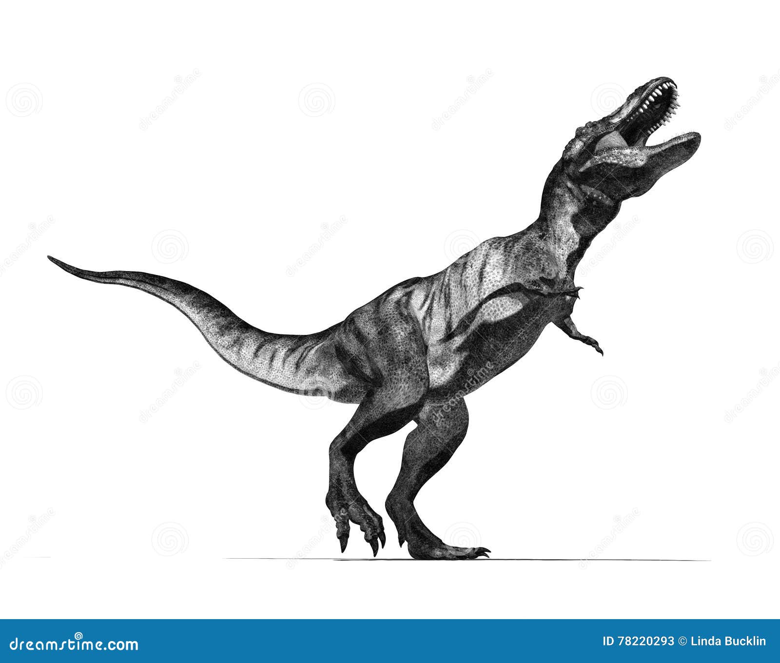 Tyrannosaur Rex Ink Black And White Drawing Stock Photo Picture And  Royalty Free Image Image 138012979