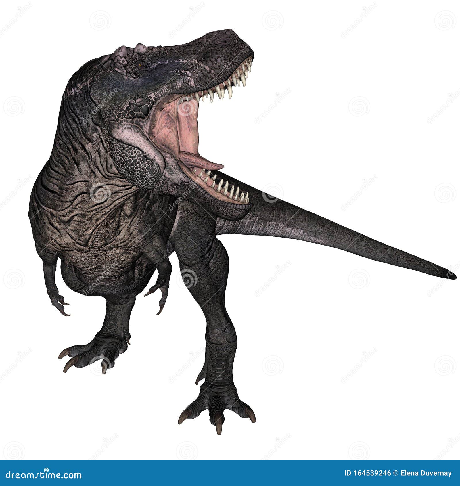 T-Rex Rugiendo Mientras Se Pone De Pie - Procesamiento 3D Stock de  ilustración - Ilustración de extinto, animal: 164539246