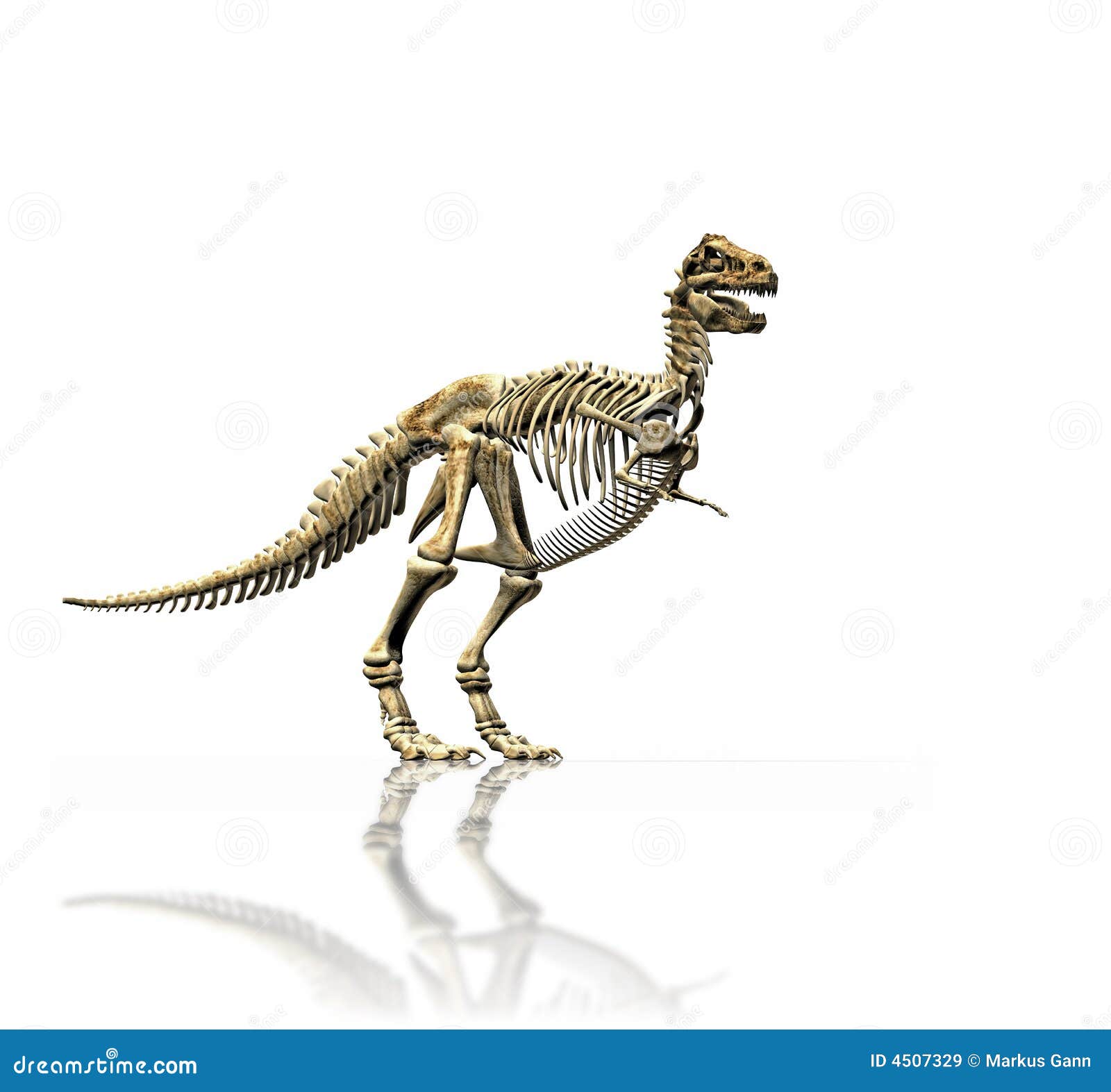 T Rex Skeleton Stock Clipart, Royalty-Free