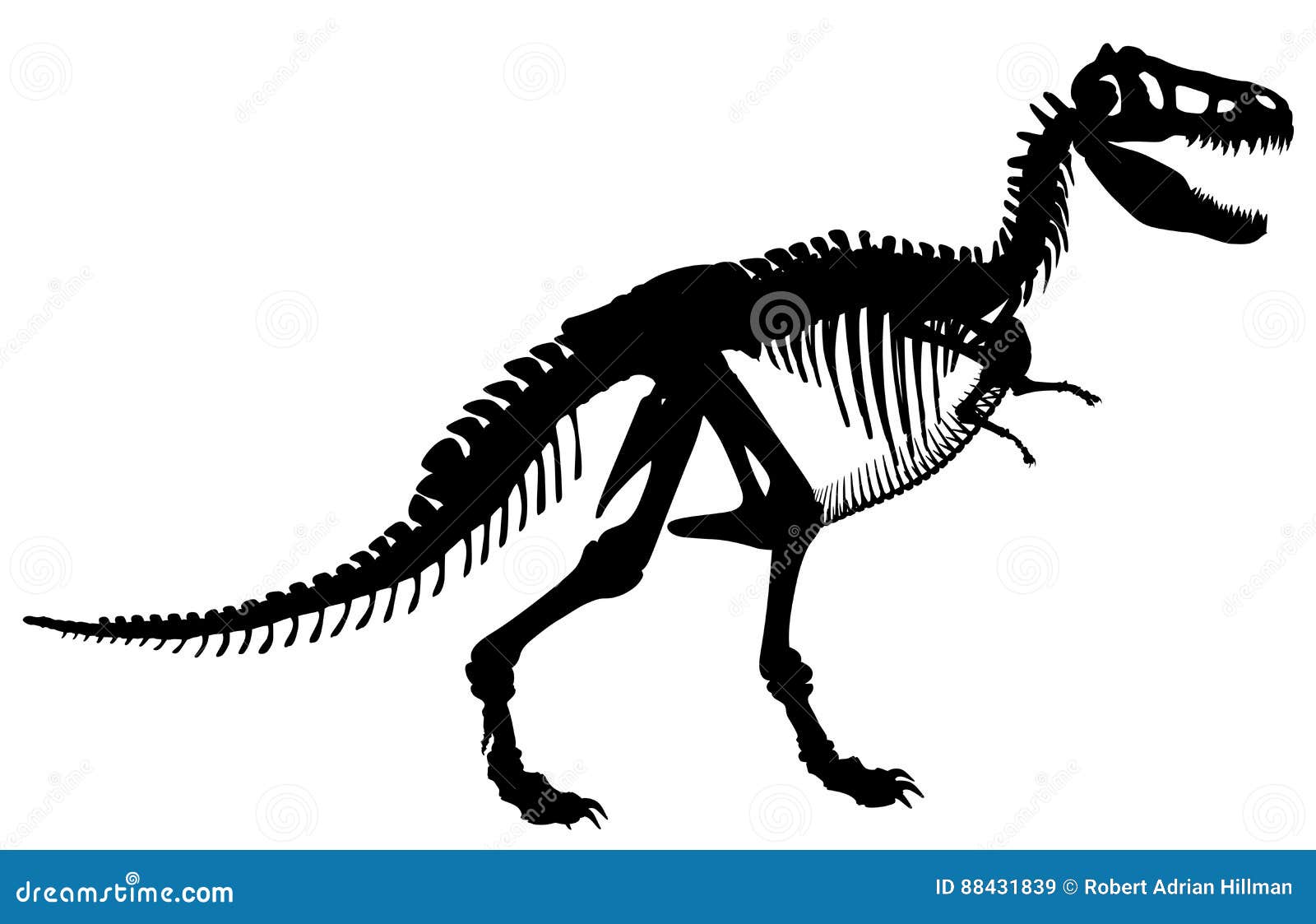 T rex dinosaur skeleton negative space silhouette.Prehistoric creature  bones isolated black and white clip art. Tyrannosaurus paleontology design.  Stock Vector