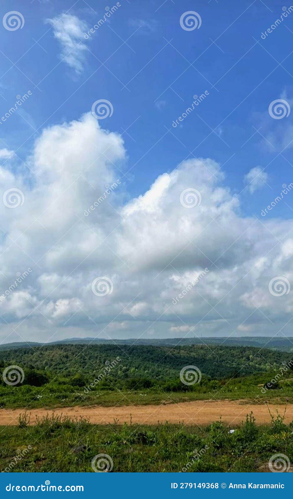 tÃ¼rkiye. valley of trees with a path against a blue sky with clouds.