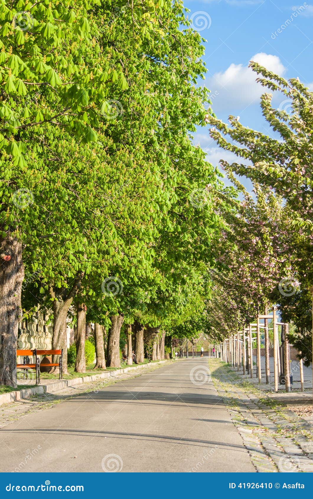 Tóth Árpád Sétány Boulevaed, Budapest, Hungary Stock Photo - Image ...