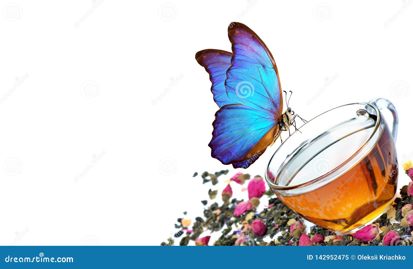 Green tea. cup of green tea with flowers and fruit pieces on a white. blend tea. blue morpho butterfly sitting on a cup of tea. copy spaces