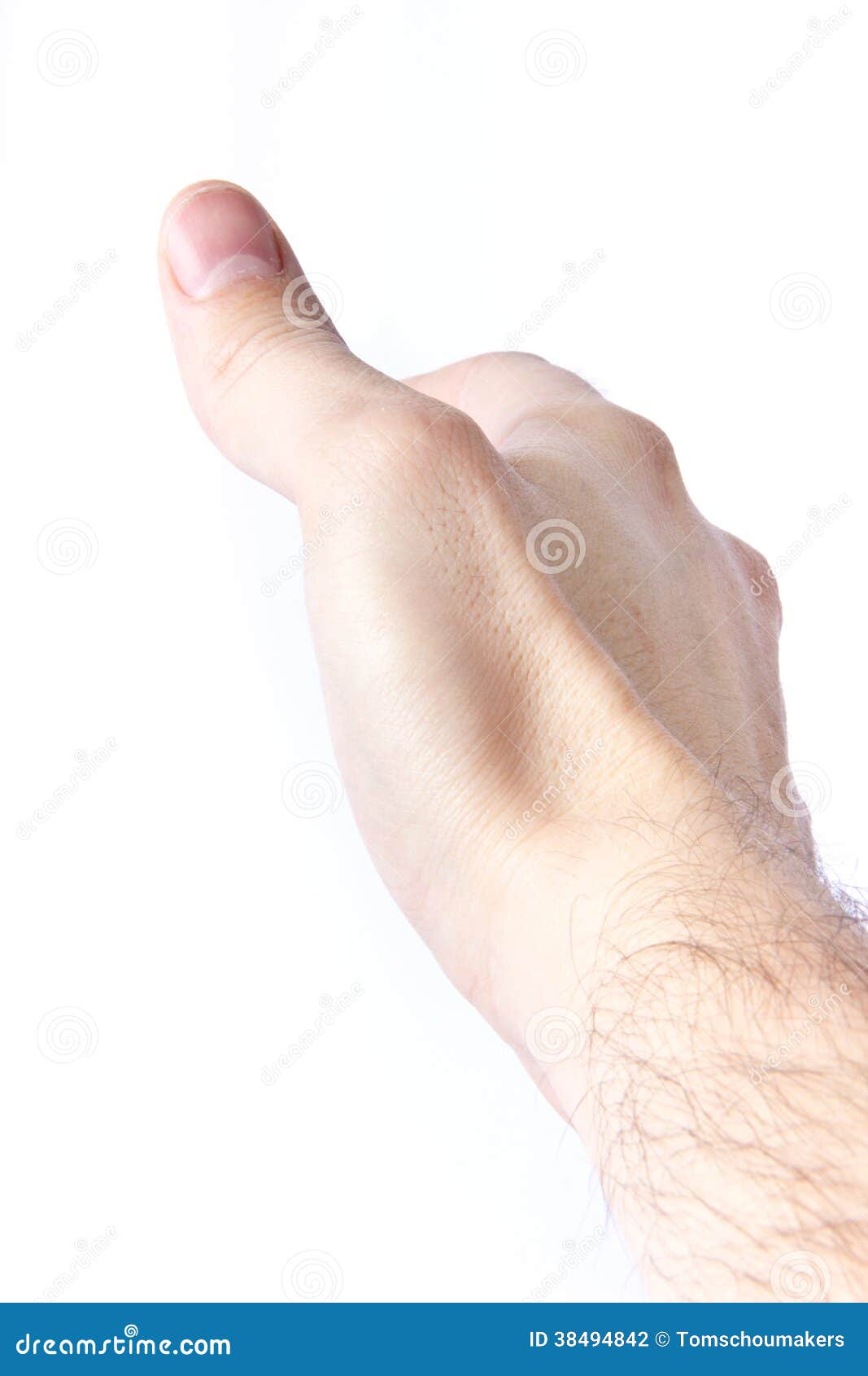 Tabatiere anatomique stock foto. Image of anatomisch 38494842