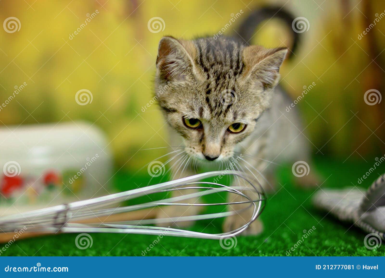 Cat's Kitchen Whisk