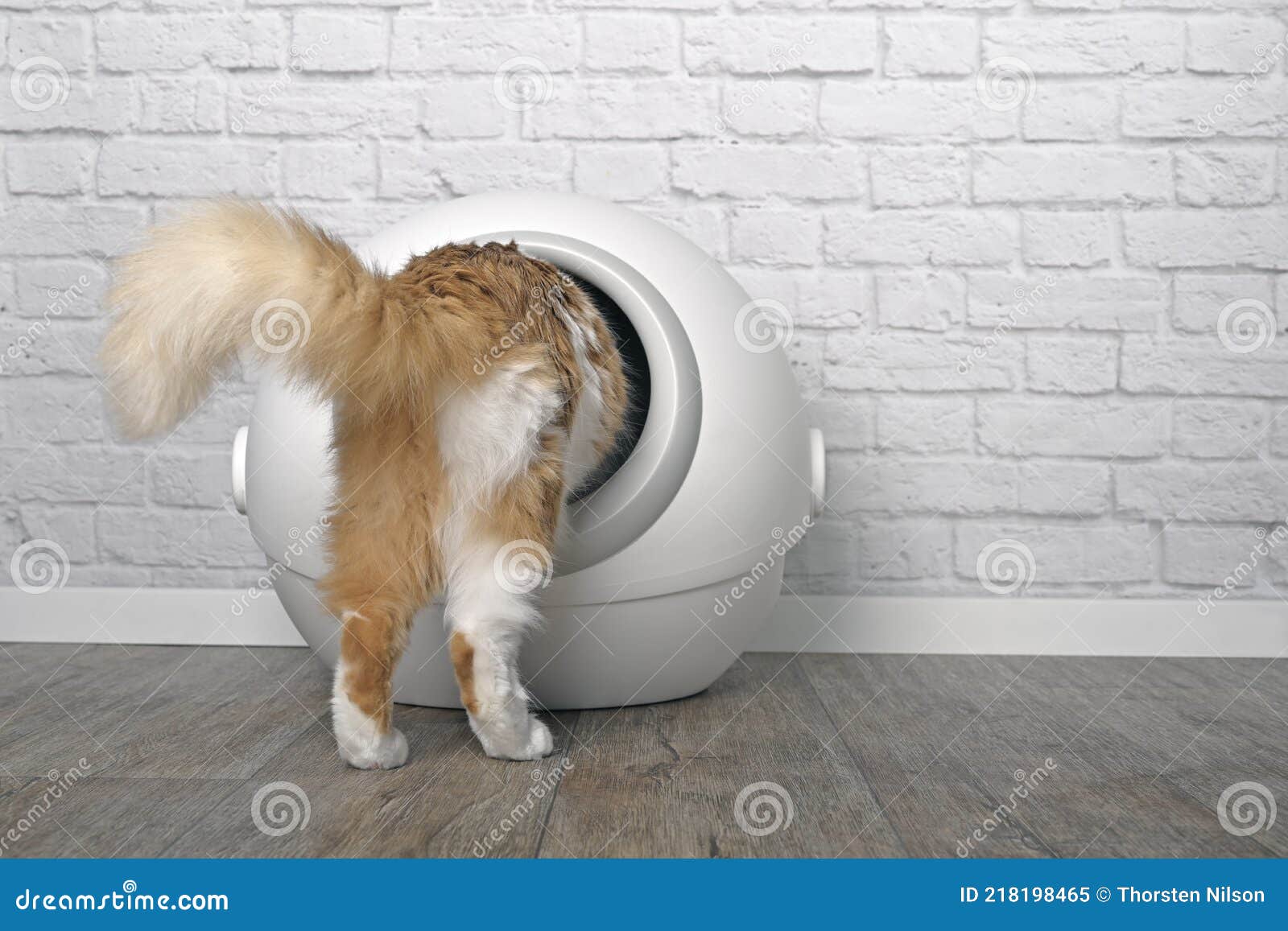 space litter box