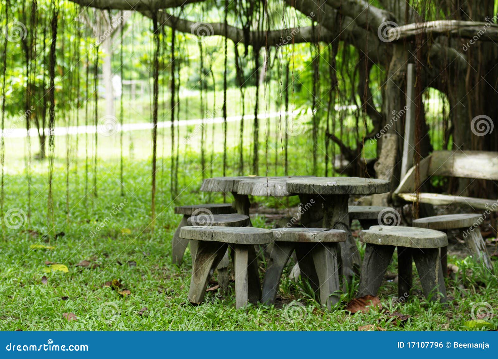 Table And Chair In Cozy Park Stock Photo - Image of patio 