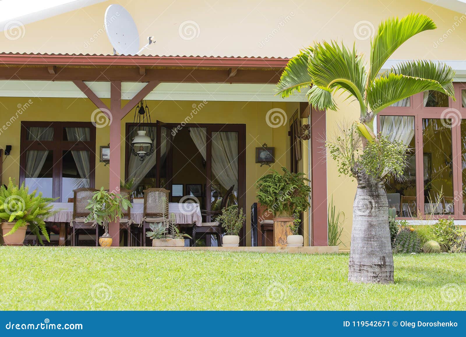 Table Chairs And Palm Tree In Summer Garden At Sunny Day