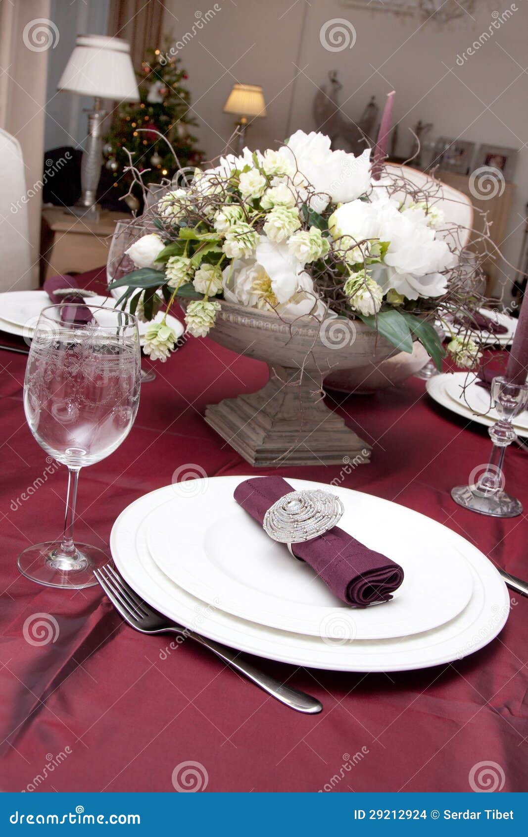 Table decorating stock photo. Image of decoration, napkin - 29212924