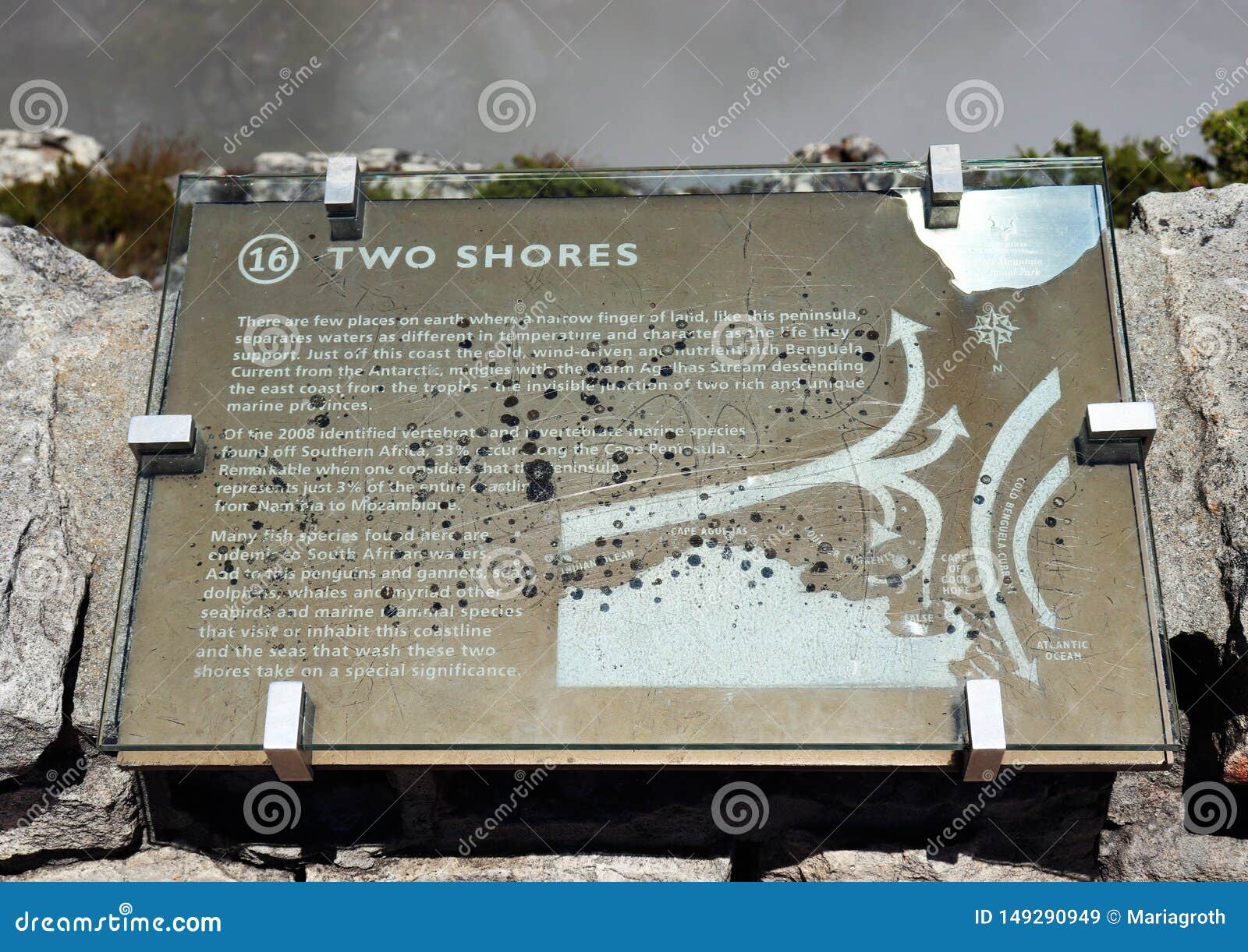 Information Signs on Table in Cape Town Editorial Stock Image - of apricot, 149290949