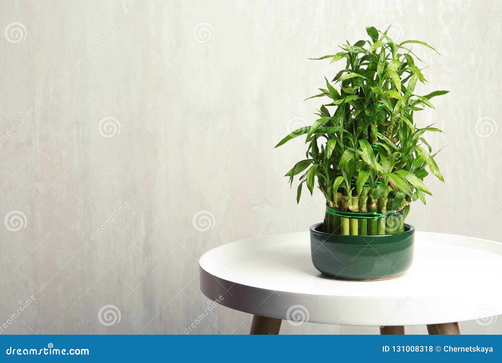 Table with Potted Bamboo Plant Near Color Wall Stock Photo Image of