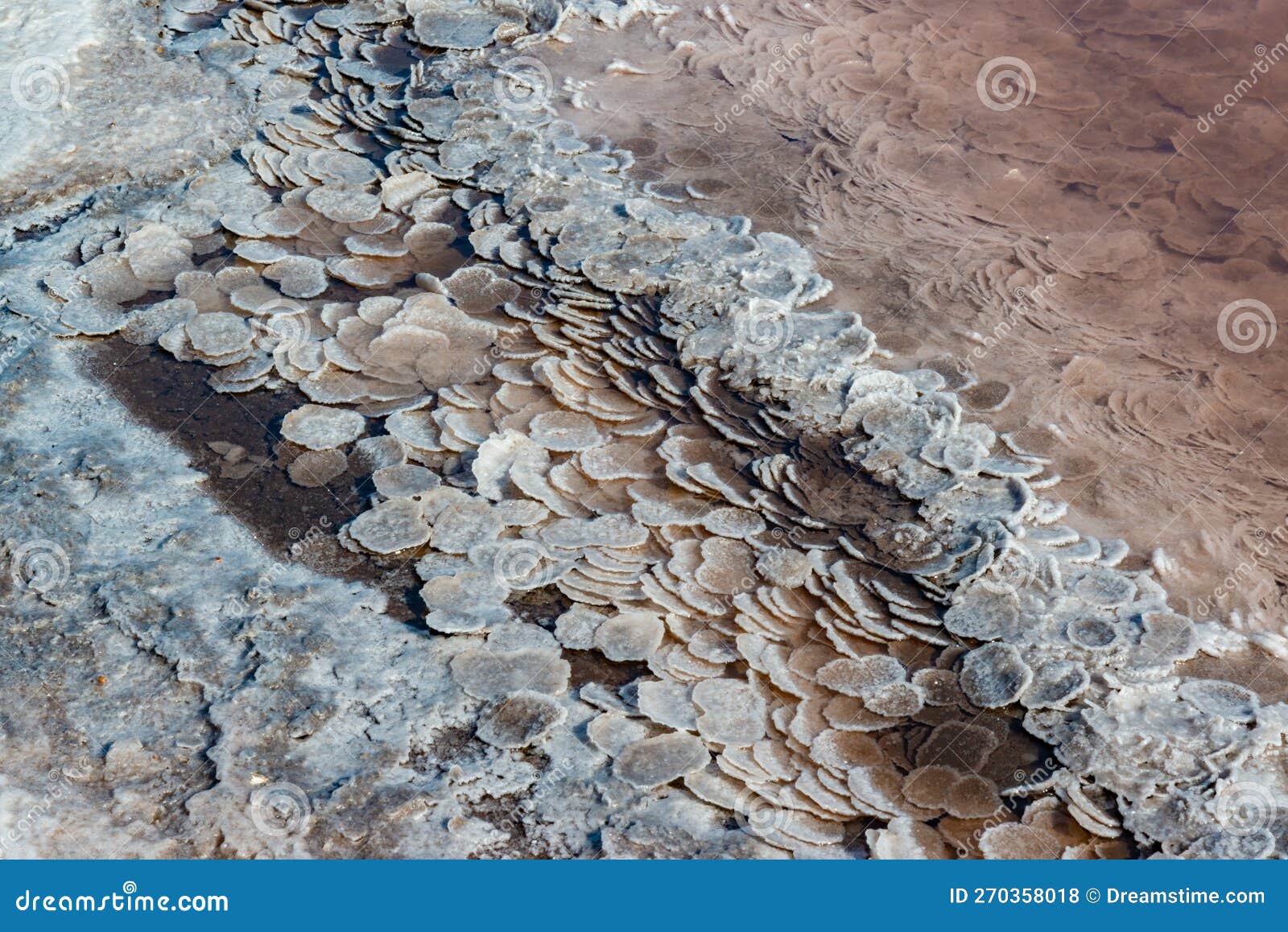 table salt in the form of rounded crystalline forms in the hypersaline kuyalnik estuary during the drying up of a reservoir, an