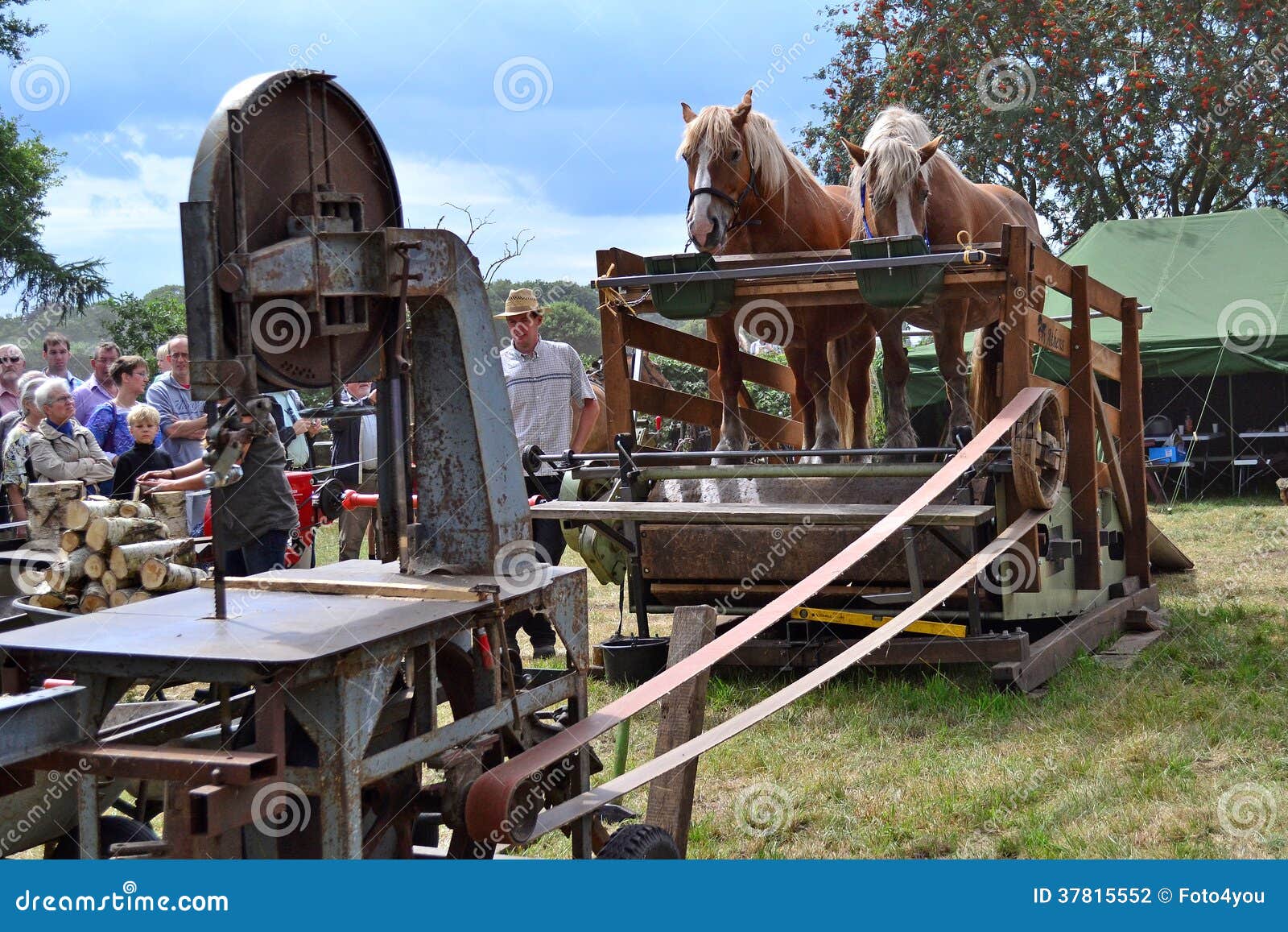 Table Saw Powered by Horses Editorial Photography - Image of special,  agriculture: 37815552