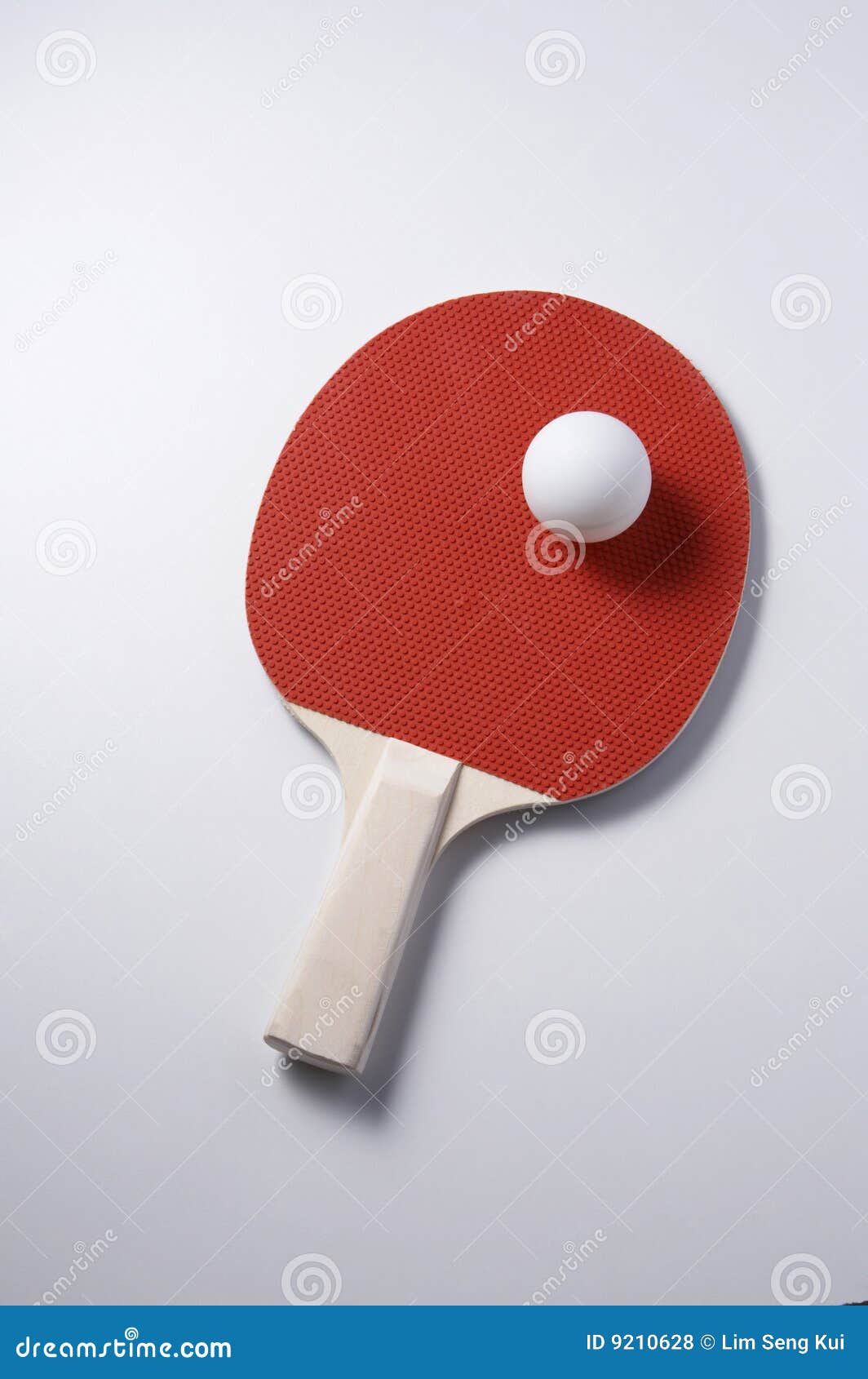 Table tennis stock photo. Image of people, studio, togetherness 9210628