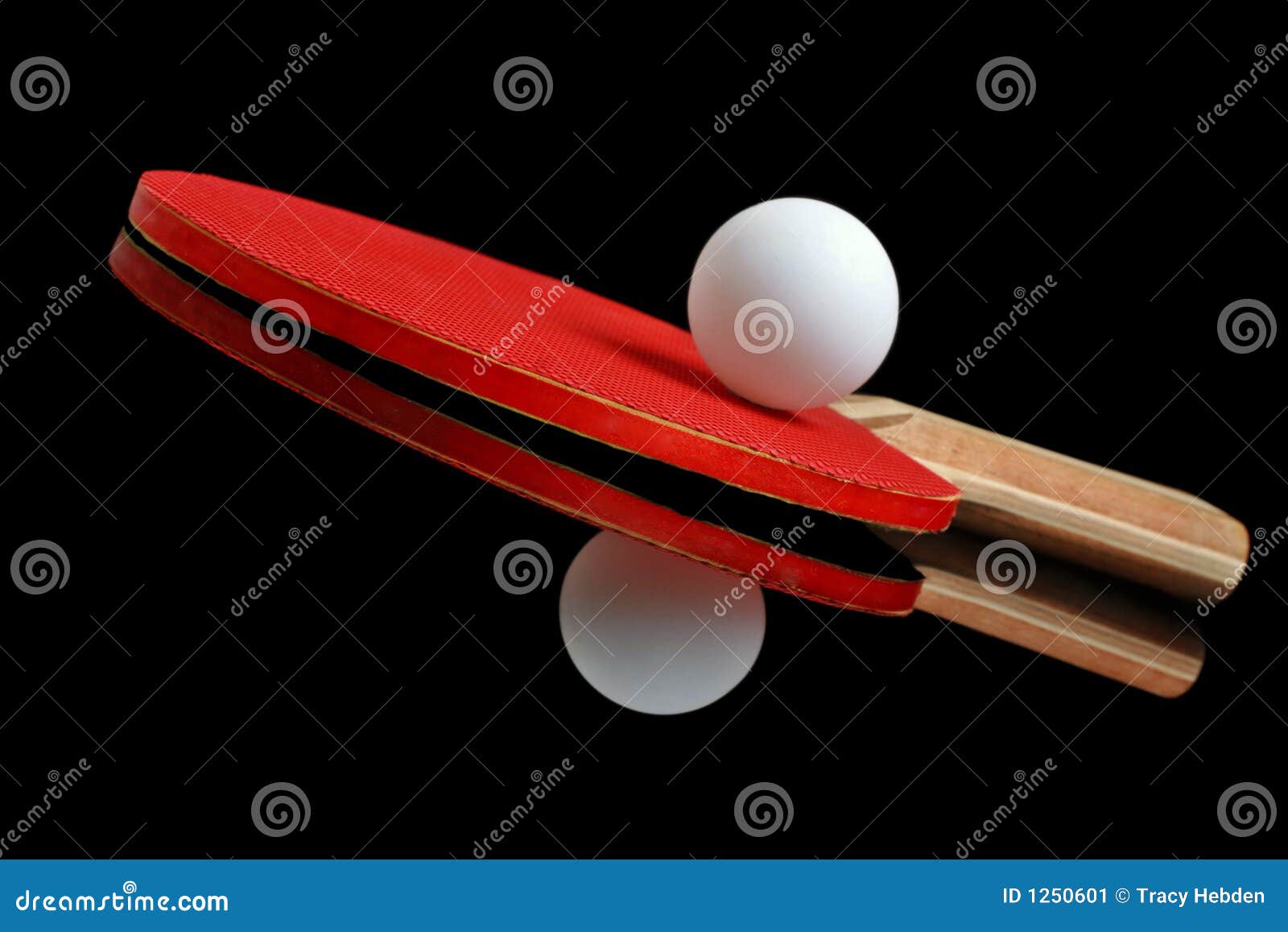 Table Tennis Ball And Paddle Stock Image Image of leisure, ping 1250601