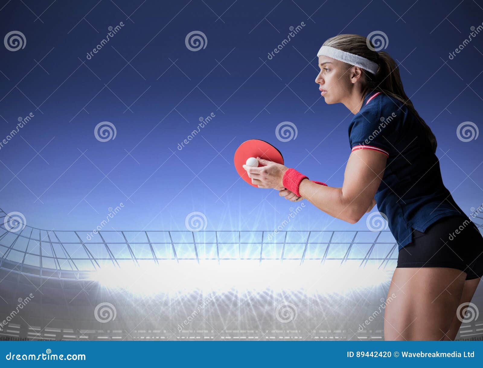 padel racket stadium