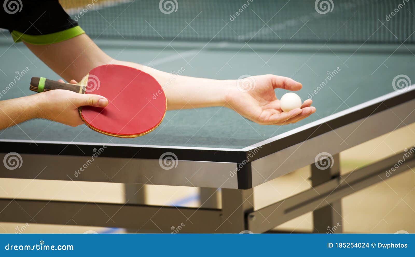 Table Tennis Player Serving Stock Photo Image of ball, leisure 185254024