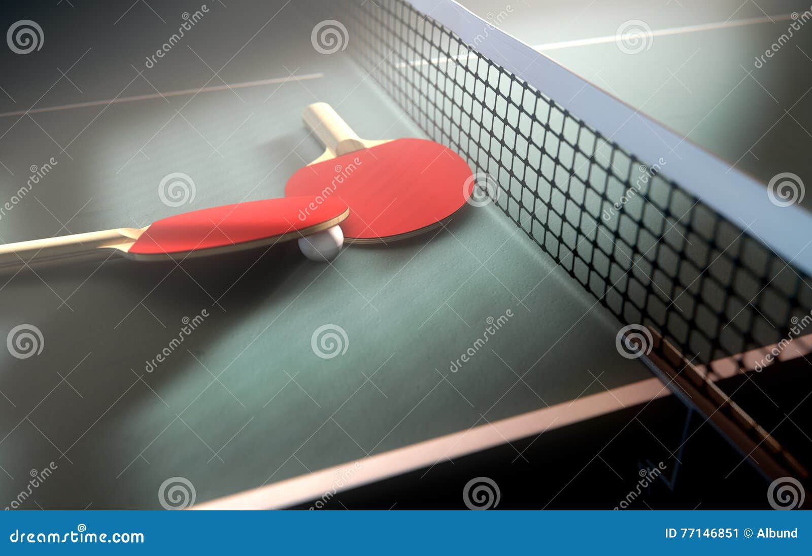 Table Tennis Table and Paddles Stock Image Image of courts, lose