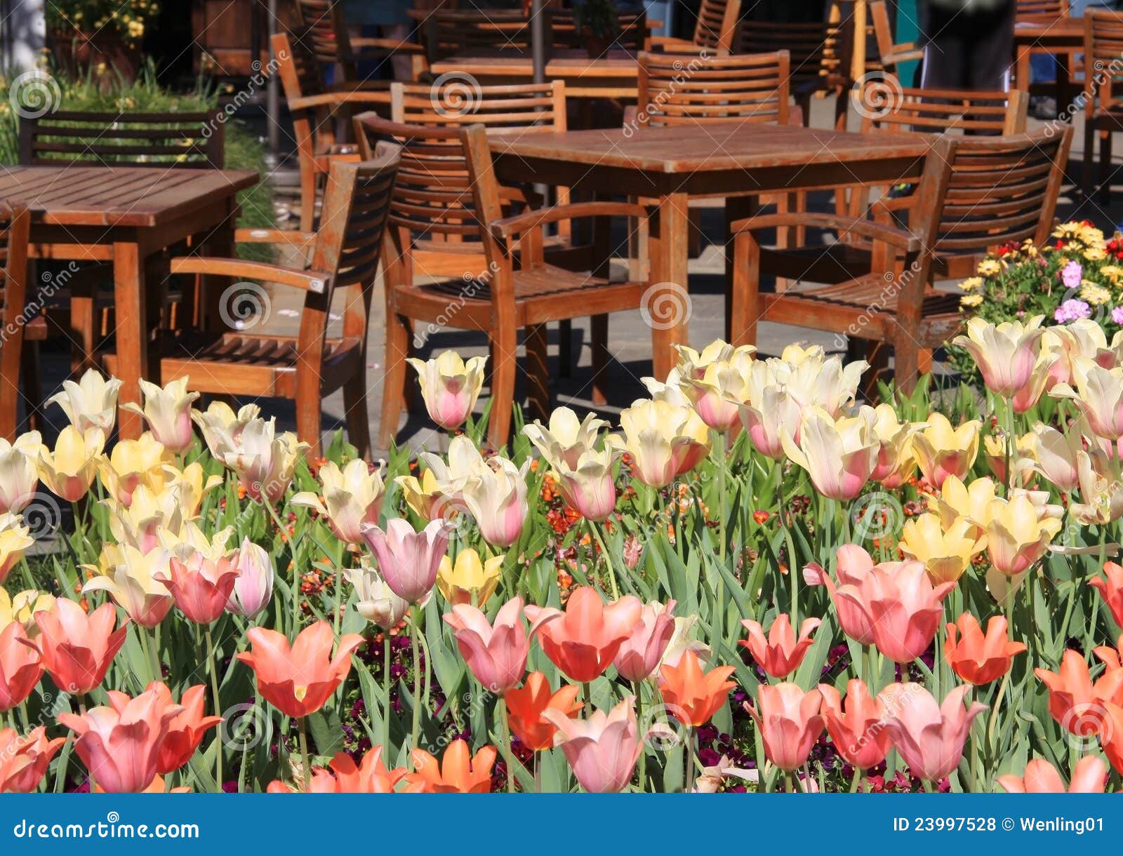 Tables ,chairs and Tulips in the Garden. Stock Photo Image of life