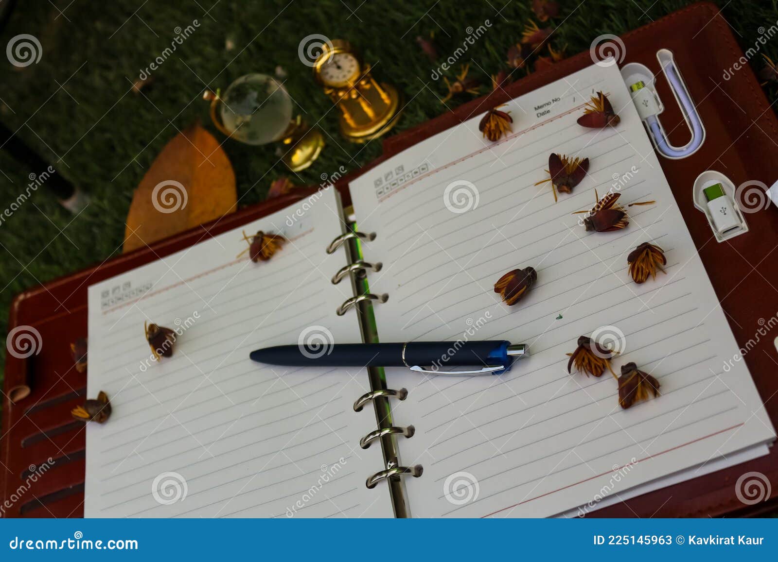 tabletop view of office desk with an open blank dairy and pen