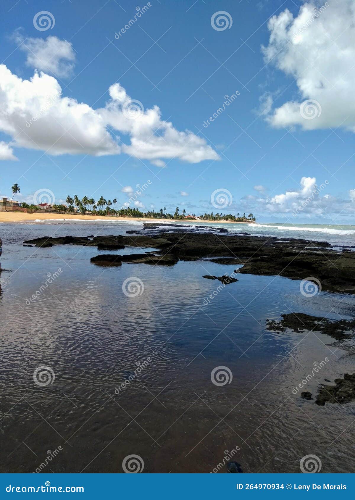 tabuba beach, in the state of alagoas, in the northeast of brazil