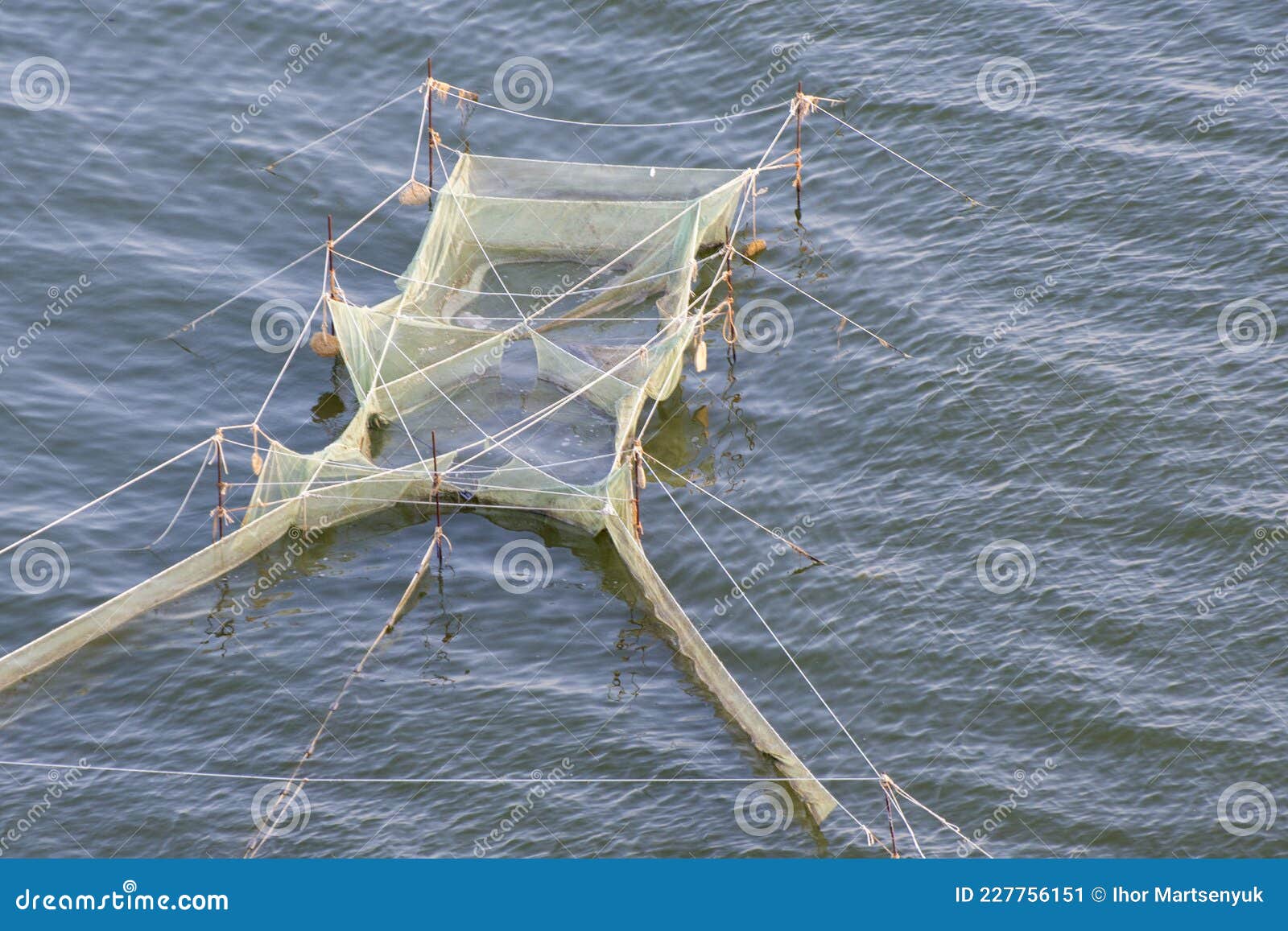 Tackle, a Net for Catching Sea Shrimp is Installed in the Sea Stock Image -  Image of nautical, care: 227756151