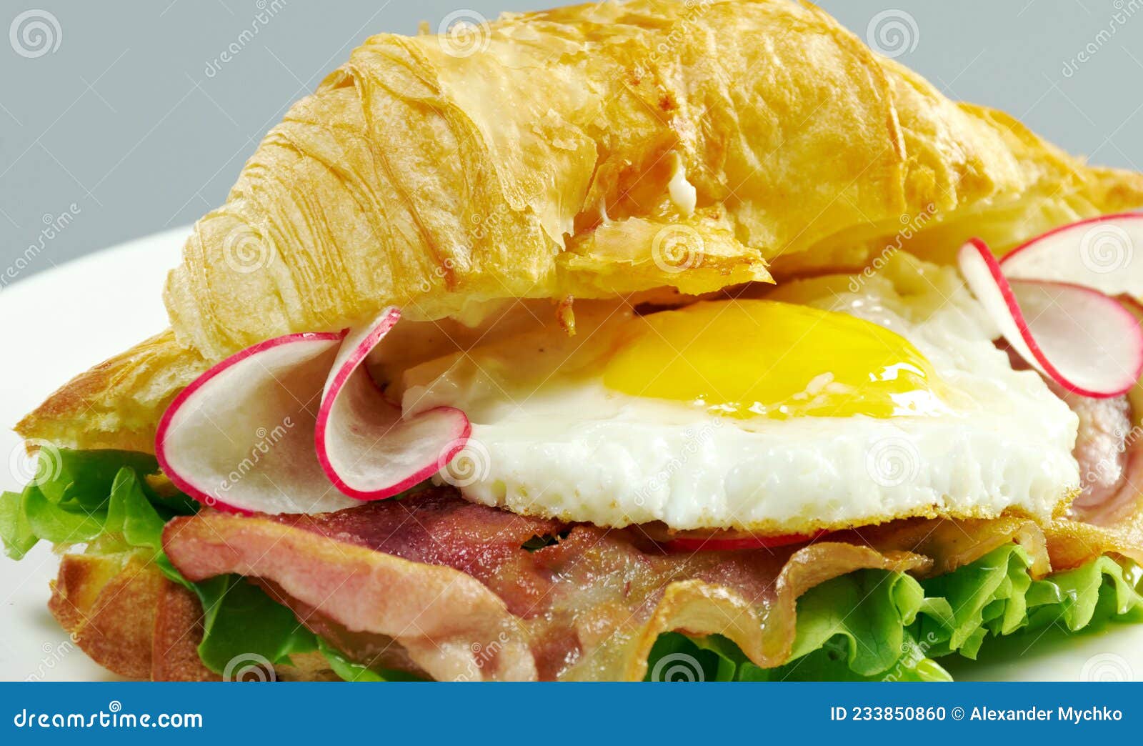 Taco Blvd stock photo. Image of baked, fresh, rustic 233850860