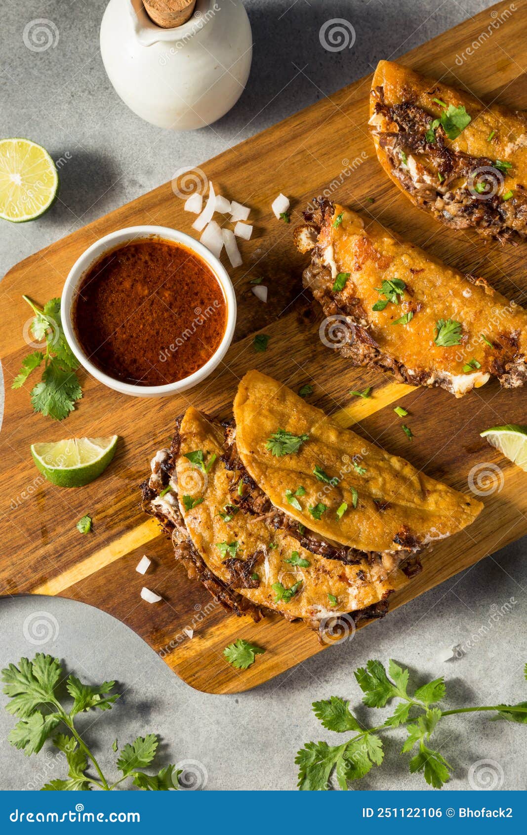 Tacos Caseros De Carne De Carne De Birria Foto de archivo Imagen de picante, cebolla 251122106