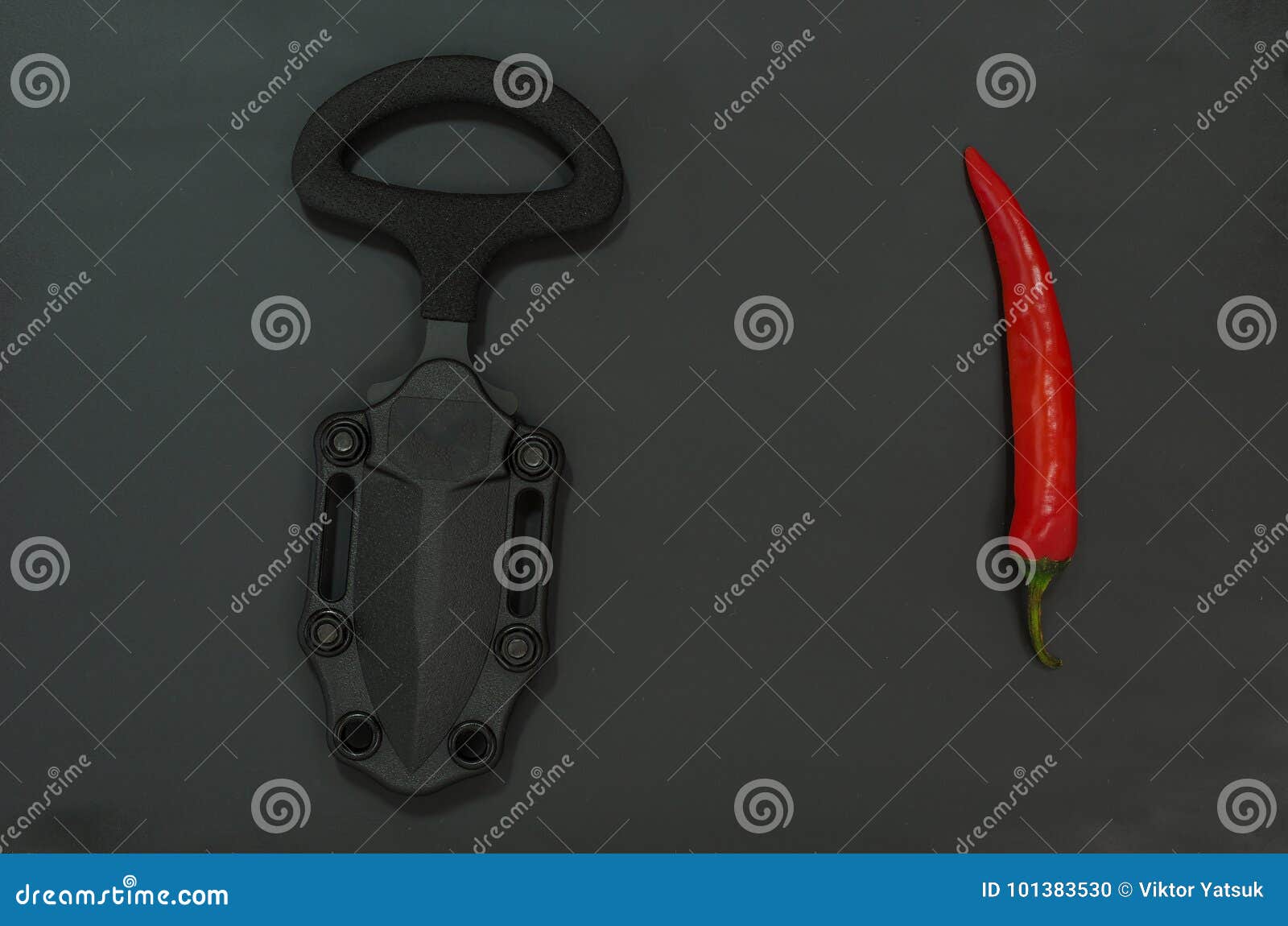 Tactical Knife in Plastic Sheath. Stock Photo Image of dirk, hunting 101383530