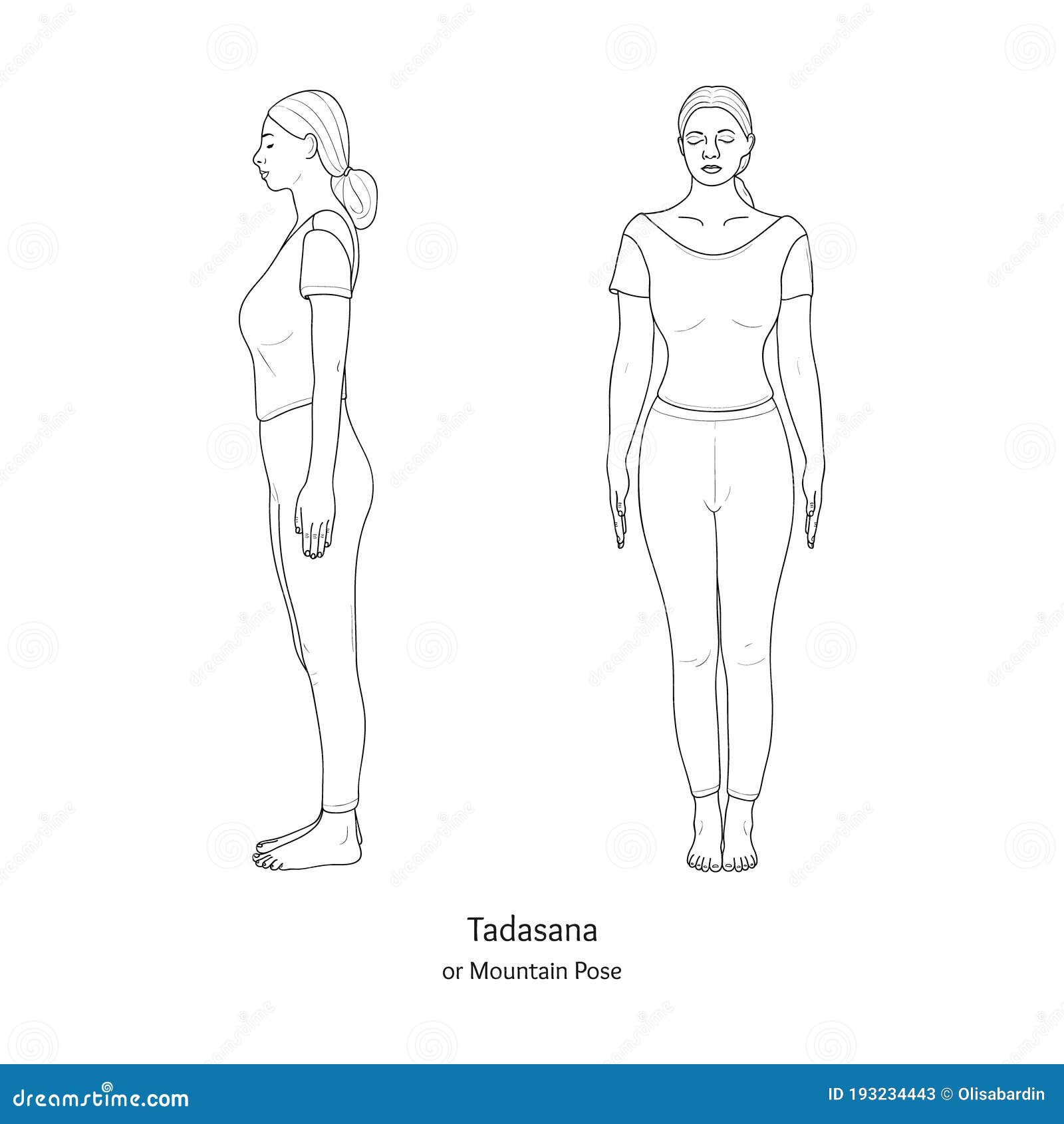 Continuous one line drawing of human practice yoga exercise. Professional  young beautiful female doing Tadasana yoga pose isolated on white  background Stock Vector Image & Art - Alamy